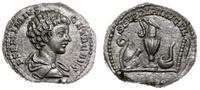 denar 198-200, Rzym, Aw: Popiersie cezara bez wi