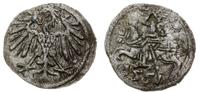 denar 1551, Wilno, moneta delikatnie podgięta, b