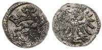 denar 1554, Gdańsk, patyna, widoczny blask menni