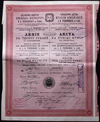 akcja na 1.000 rubli 1921, Łódź, Towarzystwo Akc