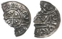 denar 995-1002, mincerz Viga, Aw: Krzyż z roszer