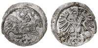 denar 1555, Wilno, gięty, Cesnulis-Ivanauskas 2S