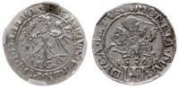grosz 1536, Wilno, z literą I pod Pogonią (Ianua