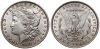 dolar 1881, Filadelfia, typ Morgan, srebro 26.71