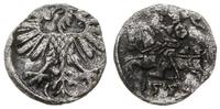 denar 1559, Wilno, miejscowa patyna, Cesnulis-Iv