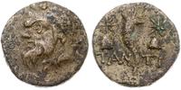 brąz ok. 150-120 pne, Aw: Głowa satyra w lewo; R