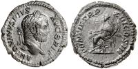 denar 210, Rzym, Aw: Głowa cesarza w wieńcu laur
