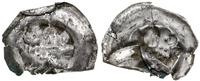 brakteat szeroki 1253–1278, Lew kroczący w lewo,