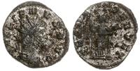 antoninian 260-268, Rzym, Aw: Głowa cesarza w ko
