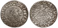 Prusy Książęce 1525-1657, grosz, 1545