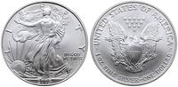 dolar 2005, Filadelfia, Walking Liberty, srebro 