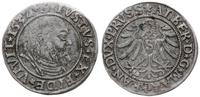 grosz 1532, Królewiec, Slg. Marienburg 1138, Vos