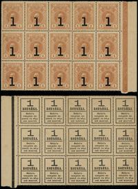 15 x 1 kopiejka bez daty (1917), 15 nierozciętyc