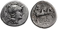 Republika Rzymska, denar, 155 pne