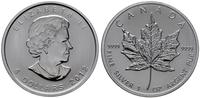 5 dolarów 2012, typ Maple Leaf, srebro próby 999