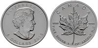5 dolarów 2013, typ Maple Leaf, srebro próby 999
