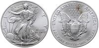dolar 2001, Filadelfia, Walking Liberty, srebro 