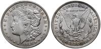 1 dolar 1921, Filadelfia, typ Morgan, srebro