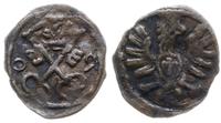 denar 1609, Poznań, ciemna patyna, Kop. 7960 (R4
