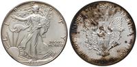 dolar 1987, Filadelfia, Walking Liberty, srebro 