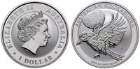 1 dolar 2018 P, Perth, ptak Kookaburra, 1 uncja 