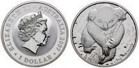 1 dolar 2007 P, Perth, Miś Koala, 1 uncja srebra