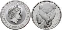 1 dolar 2007 P, Perth, Miś Koala, 1 uncja srebra