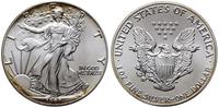1 dolar 1987, Filadelfia, typ Walking Liberty, s