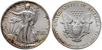 Stany Zjednoczone Ameryki (USA), 1 dolar, 1989