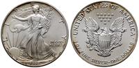 1 dolar 1992, Filadelfia, typ Walking Liberty, s