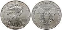 1 dolar 1996, Filadelfia, typ Walking Liberty, s