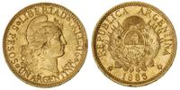 5 peso= 1 argentino 1883, złoto 8.05 g