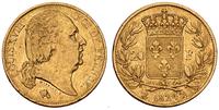 20 franków 1824/A, Paryż, złoto 6.39 g