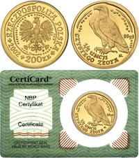 200 złotych 2002, Orzeł bielik, złoto 15.50 g, c