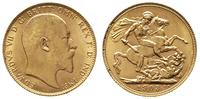 1 funt 1903, Londyn, złoto 7.99 g, Fr. 400