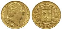 20 franków 1817/A, Paryż, złoto 6.44 g
