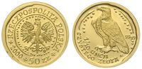 50 złotych 2000, Orzeł Bielik, moneta bez orygin