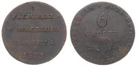 6 groszy 1813, Zamość, ślady przebicia monety na