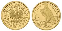 50 złotych 1996, Warszawa, Orzeł Bielik, złoto 3