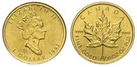 1 dolar 1993, Maple Leaf, złoto 1.56 g próby 999