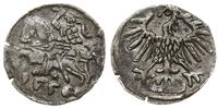 denar 1556, Wilno, szerszy ogon orła, patyna, Ko