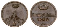 połuszka 1855 BM, Warszawa, rzadka, Bitkin 495 (