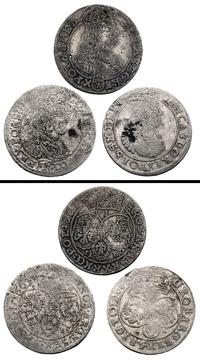 zestaw: szóstaki koronne 1661,1663,1667, razem 3