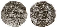 denar 1551, Wilno, moneta delikatnie podgięta, b