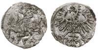 denar 1554, Wilno, Cesnulis-Ivanauskas 2SA12-6, 