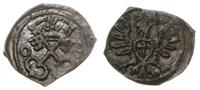 denar 1609, Poznań, skrócona data 0-9, ciemna pa