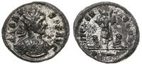 antoninian 276-282,  Rzym, Aw: Popiersie cesarza