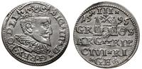 trojak 1595, Ryga, moneta delikatnie czyszczona,