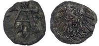 denar 1563, Królewiec, rzadka moneta, Bahr. 1230