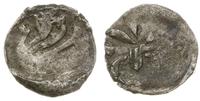 denar ok. 1410, Aw: Pół-gwiazda i pół-lilia podw